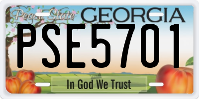GA license plate PSE5701