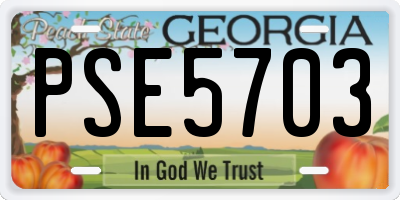 GA license plate PSE5703