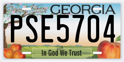 GA license plate PSE5704