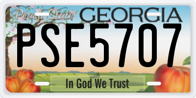 GA license plate PSE5707