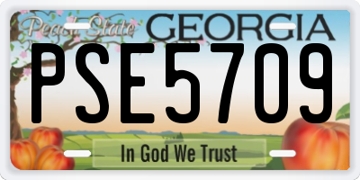 GA license plate PSE5709