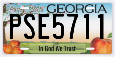 GA license plate PSE5711