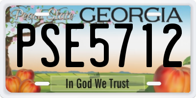 GA license plate PSE5712
