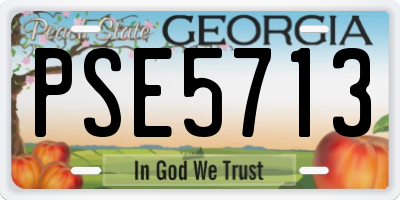 GA license plate PSE5713