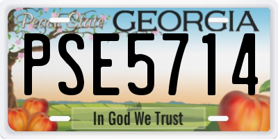 GA license plate PSE5714