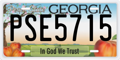 GA license plate PSE5715