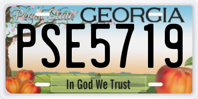 GA license plate PSE5719