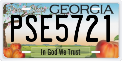 GA license plate PSE5721