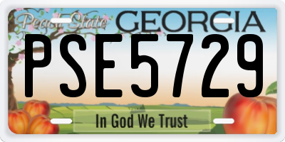 GA license plate PSE5729