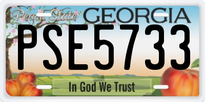 GA license plate PSE5733