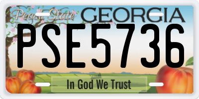 GA license plate PSE5736