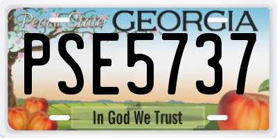 GA license plate PSE5737