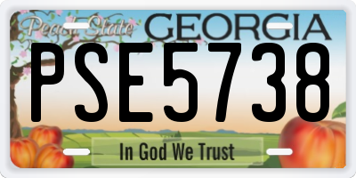 GA license plate PSE5738