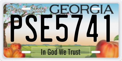 GA license plate PSE5741