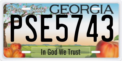 GA license plate PSE5743