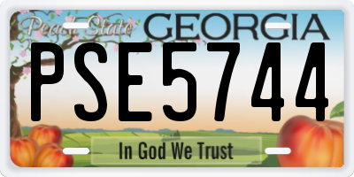 GA license plate PSE5744