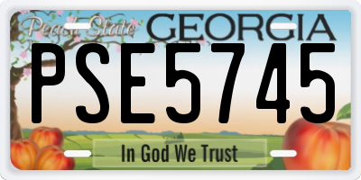 GA license plate PSE5745