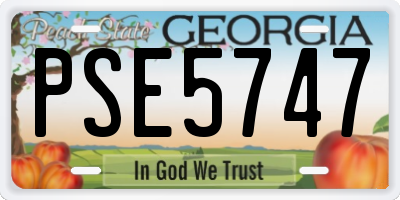 GA license plate PSE5747