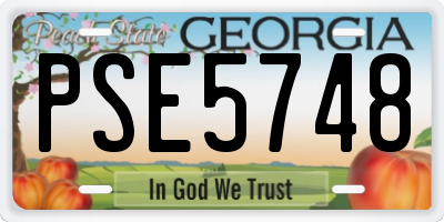 GA license plate PSE5748