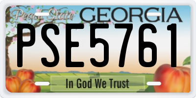 GA license plate PSE5761