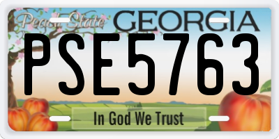 GA license plate PSE5763