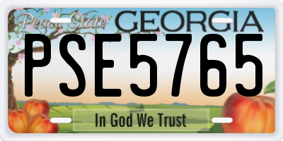 GA license plate PSE5765