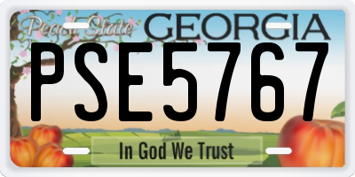 GA license plate PSE5767