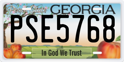 GA license plate PSE5768