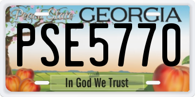 GA license plate PSE5770