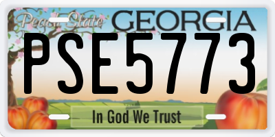 GA license plate PSE5773