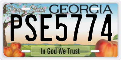 GA license plate PSE5774