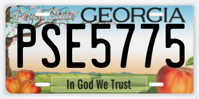 GA license plate PSE5775