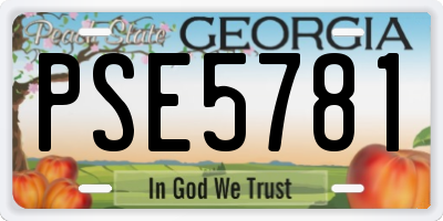 GA license plate PSE5781