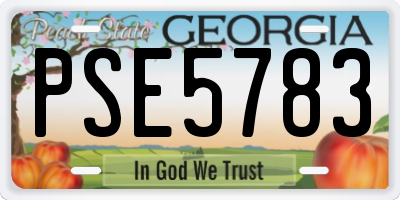 GA license plate PSE5783