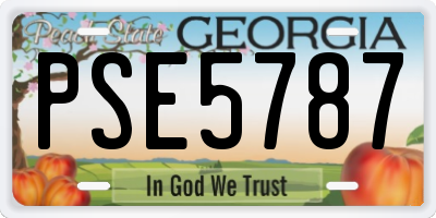 GA license plate PSE5787