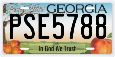 GA license plate PSE5788