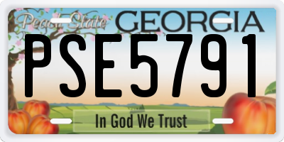 GA license plate PSE5791
