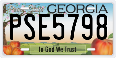 GA license plate PSE5798