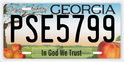 GA license plate PSE5799