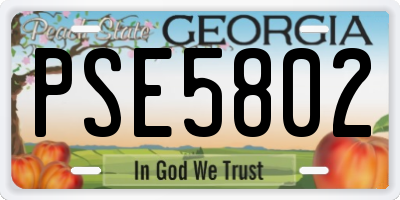 GA license plate PSE5802