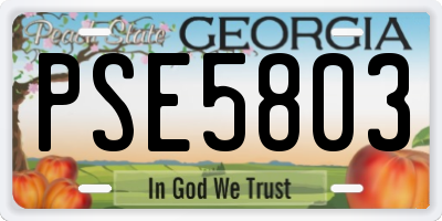GA license plate PSE5803
