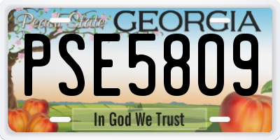 GA license plate PSE5809