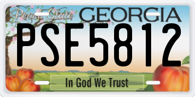 GA license plate PSE5812