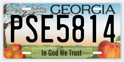 GA license plate PSE5814