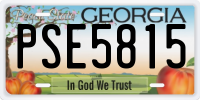 GA license plate PSE5815