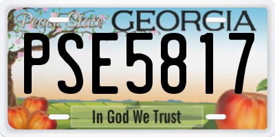 GA license plate PSE5817