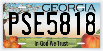 GA license plate PSE5818