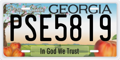 GA license plate PSE5819