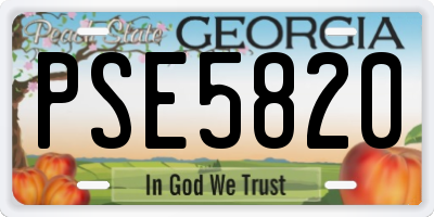 GA license plate PSE5820