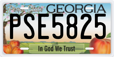 GA license plate PSE5825